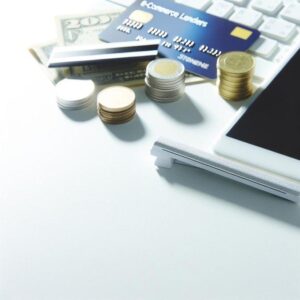 Top Lenders Offering E-commerce Loans with Low Interest Rates